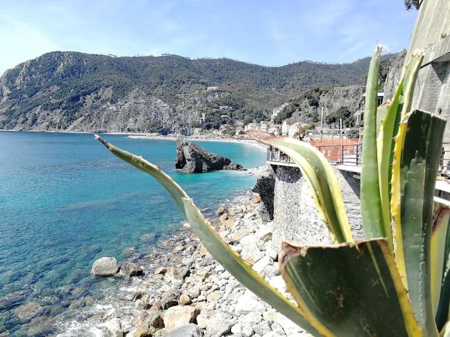 Nel Cuore Di Monterosso Cinque Terre Orto Di Ciack Monterosso al Mare Exterior foto